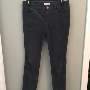 Loft Corduroy Jeans
